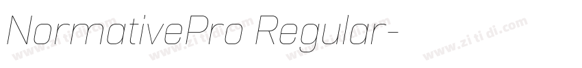 NormativePro Regular字体转换